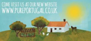 newwebsite